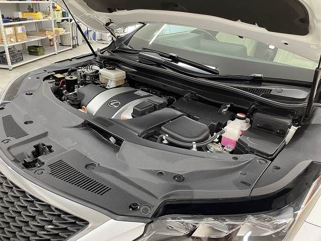 Lexus RX 2015-12 21062-19