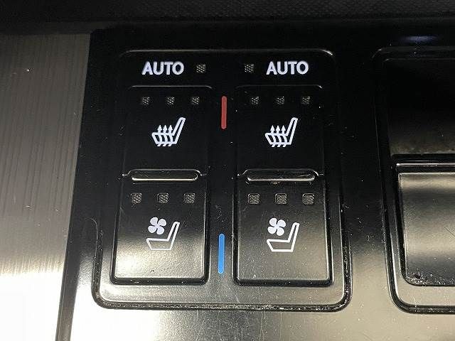 Lexus RX 2015-12 21062-7