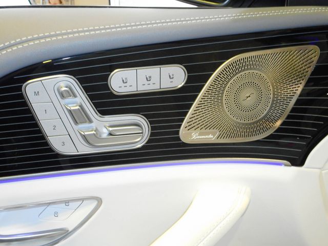 Mercedes Benz GLS-CLASS 2022-08 24866-9