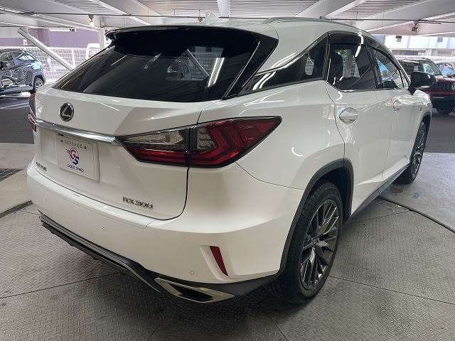 Lexus RX 2019-01 190735-15