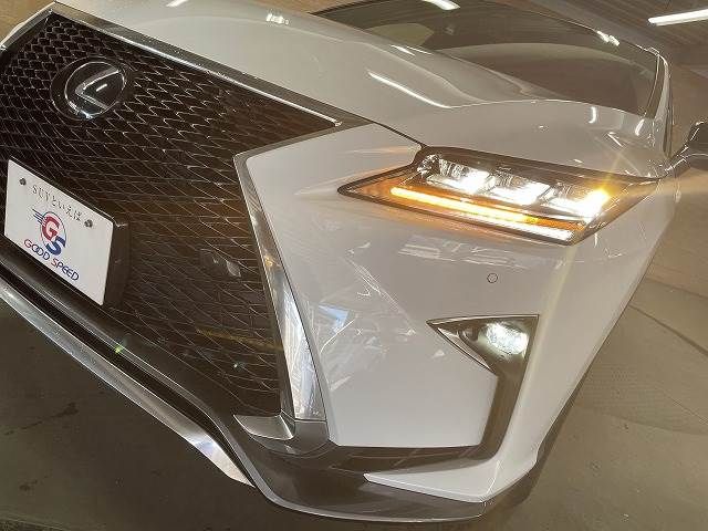 Lexus RX 2019-01 190735-17