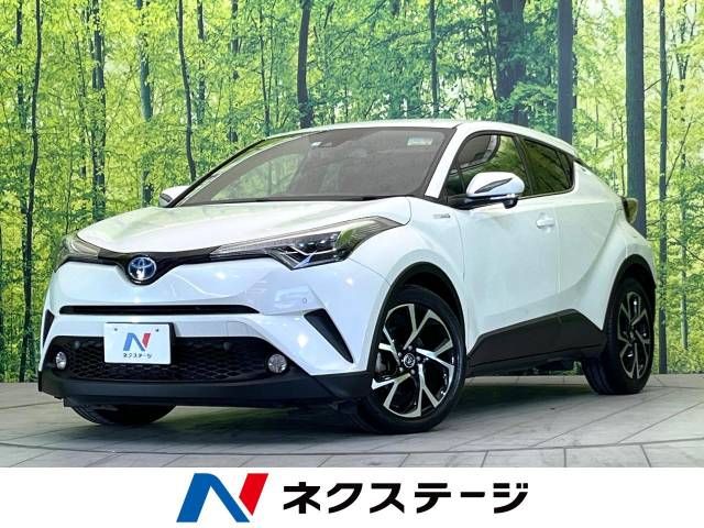 Toyota C-HR 2017-04 181816-0
