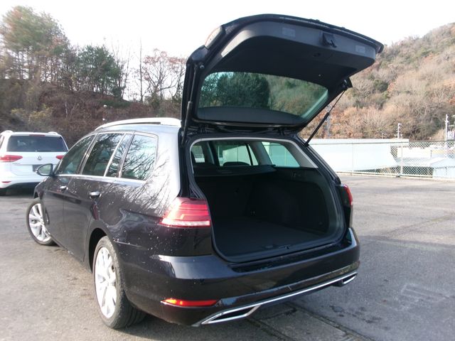 VolksWagen GOLF VARIANT 2018-08 191670-7
