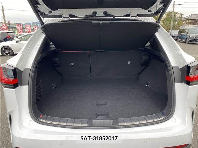 Lexus NX 2023-07 219688-14