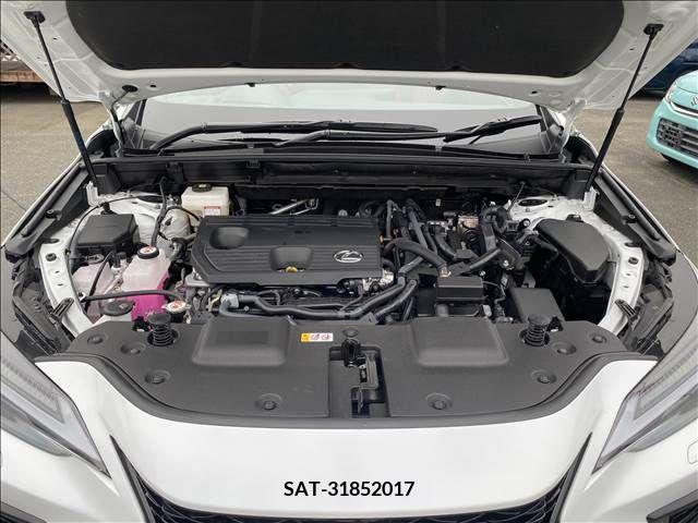 Lexus NX 2023-07 219688-17