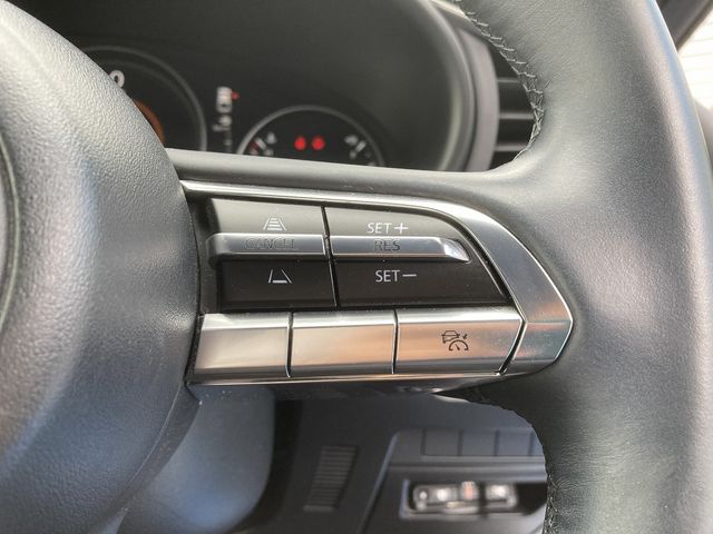 Mazda MAZDA3 2019-08 20383-18