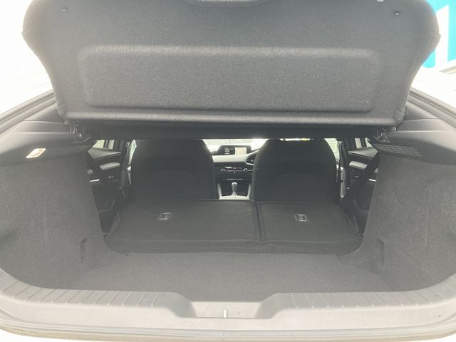 Mazda MAZDA3 2019-08 20383-9