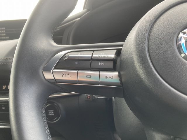 Mazda MAZDA3 2019-08 20383-17