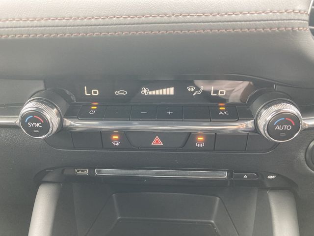 Mazda MAZDA3 2019-08 20383-23
