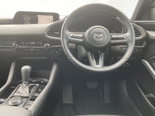 Mazda MAZDA3 2019-08 20383-12