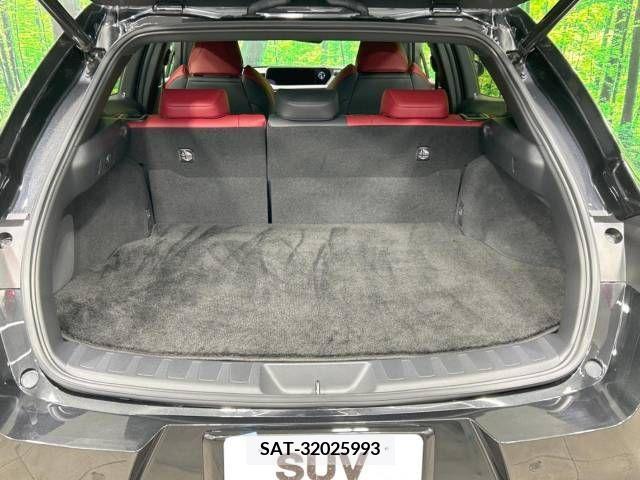 Lexus UX 2021-07 275947-9