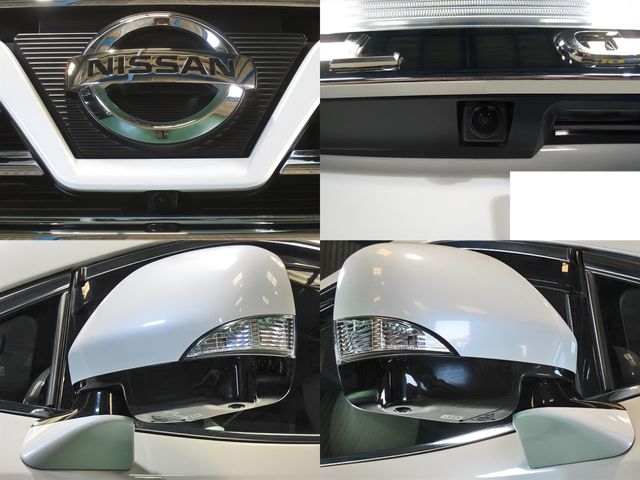 Nissan ELGRAND 2017-06 3230-6