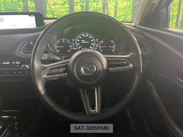 Mazda CX-30 2020-03 343071-11