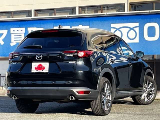 Mazda CX-8 2019-02 194831-2