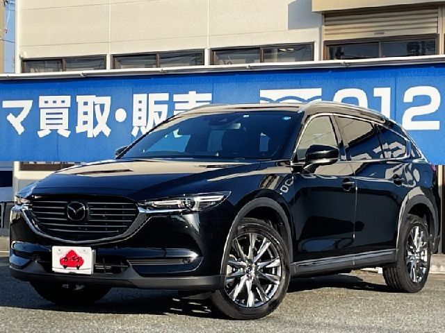 Mazda CX-8 2019-02 194831-0
