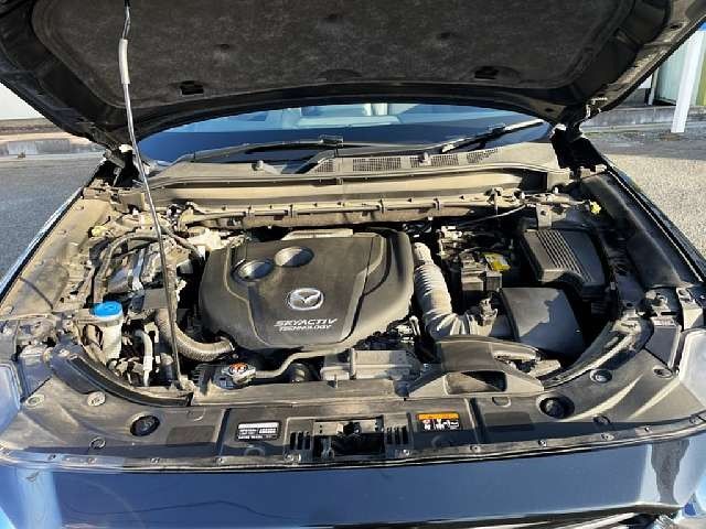 Mazda CX-8 2019-02 194831-4