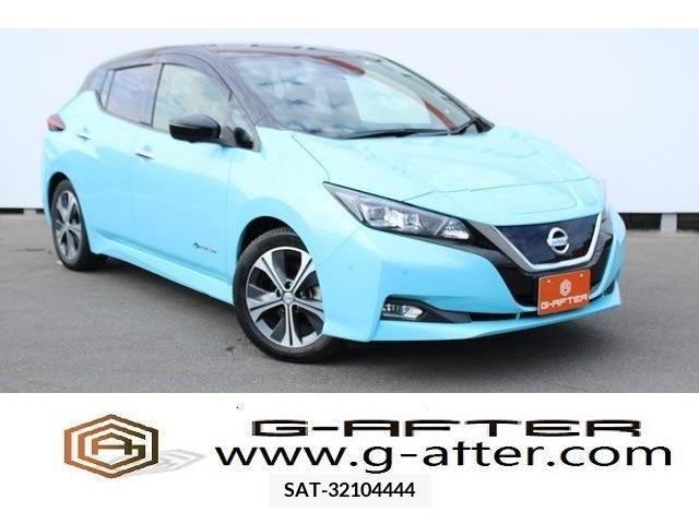 Nissan LEAF 2018-01 367073-0