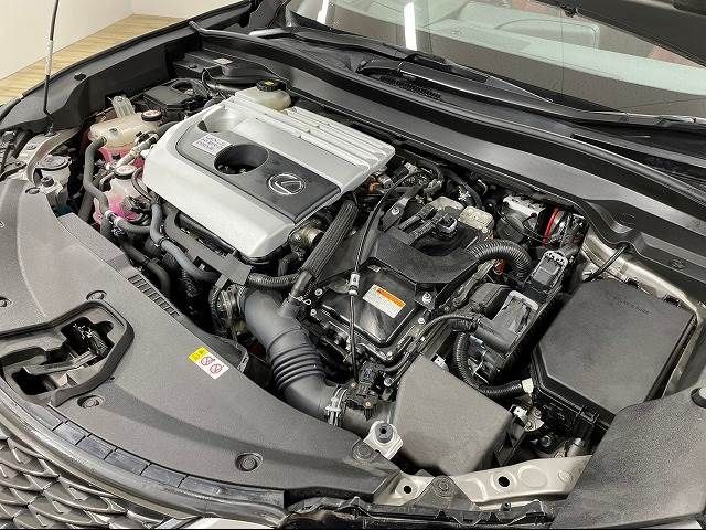 Lexus UX 2019-08 190019-17