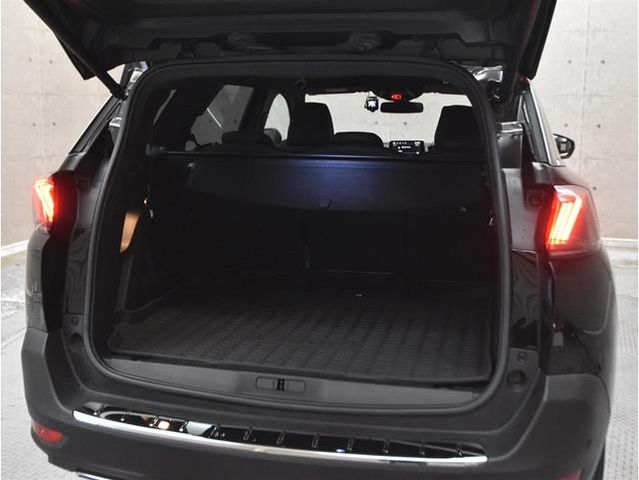Peugeot 5008 2021-08 188880-13