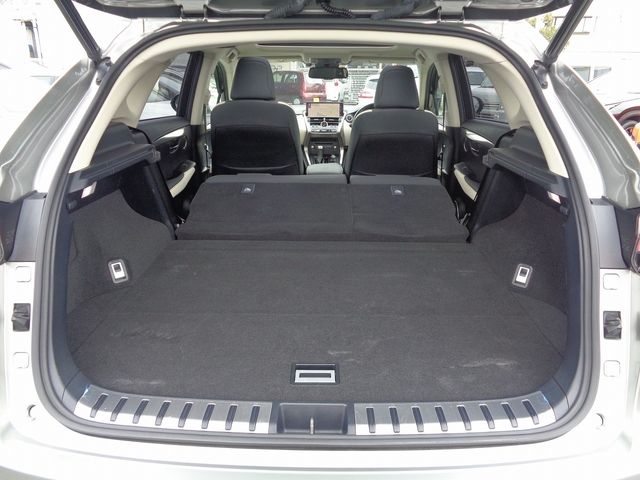 Lexus NX 2018-10 22790-8