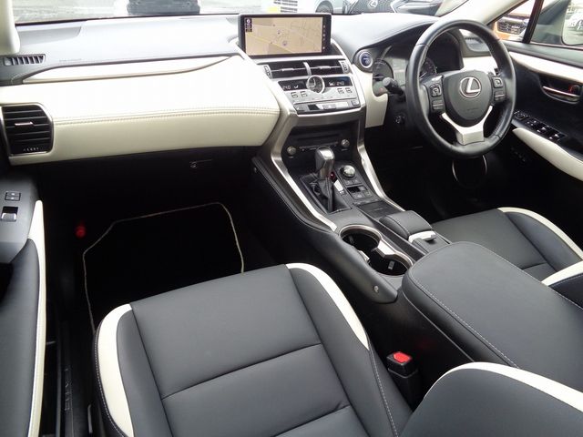 Lexus NX 2018-10 22790-10