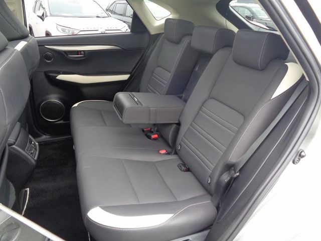 Lexus NX 2018-10 22790-6