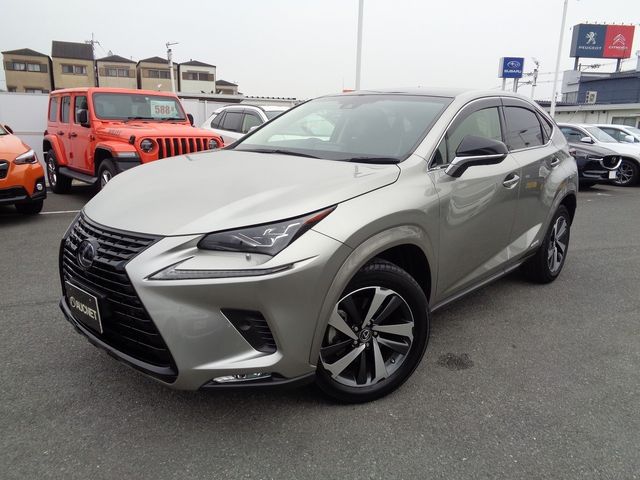 Lexus NX 2018-10 22790-0
