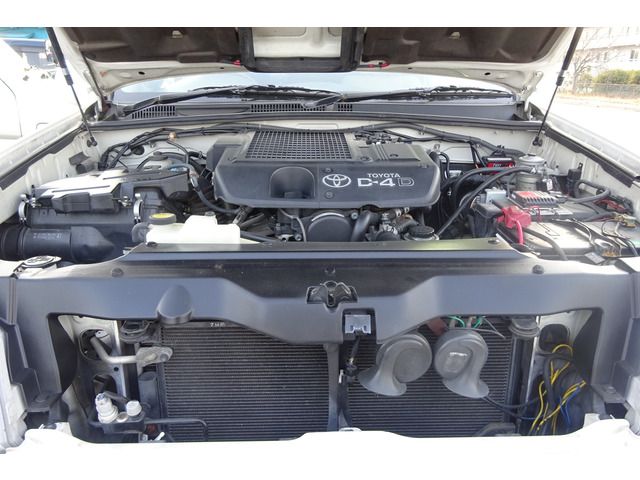 Toyota PRADO 2006-07 21956-3