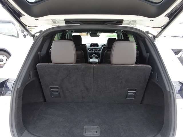 Mazda CX-8 2019-11 24530-8
