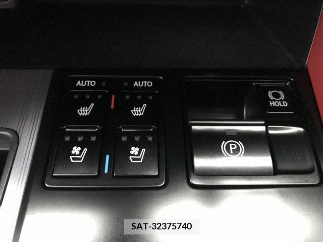 Lexus RX 2021-05 225399-18