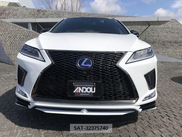 Lexus RX 2021-05 225399-5