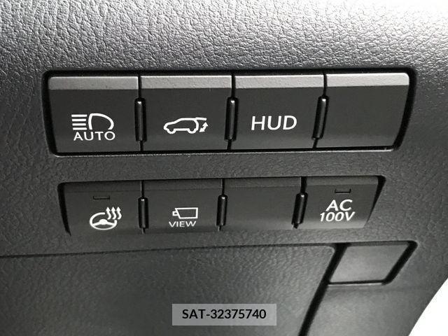 Lexus RX 2021-05 225399-19
