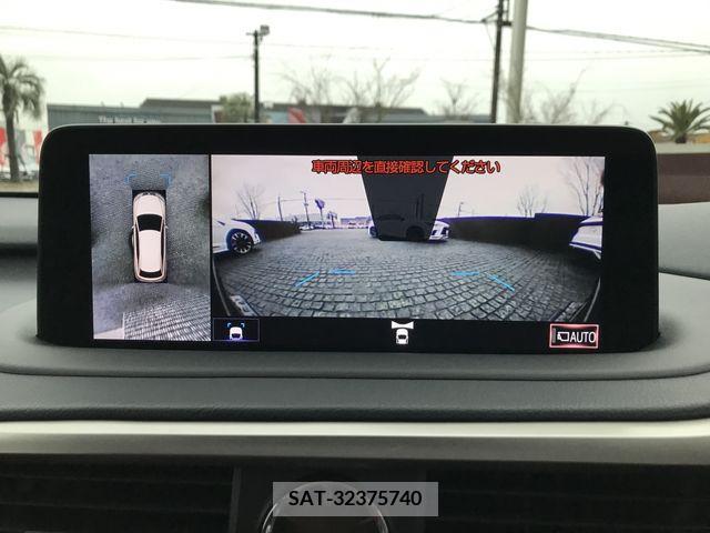 Lexus RX 2021-05 225399-15