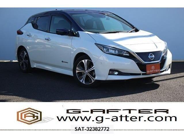 Nissan LEAF 2017-01 226351-0