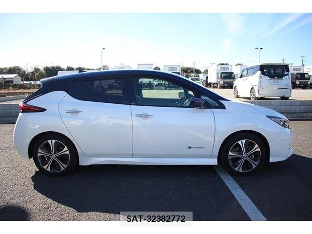 Nissan LEAF 2017-01 226351-9