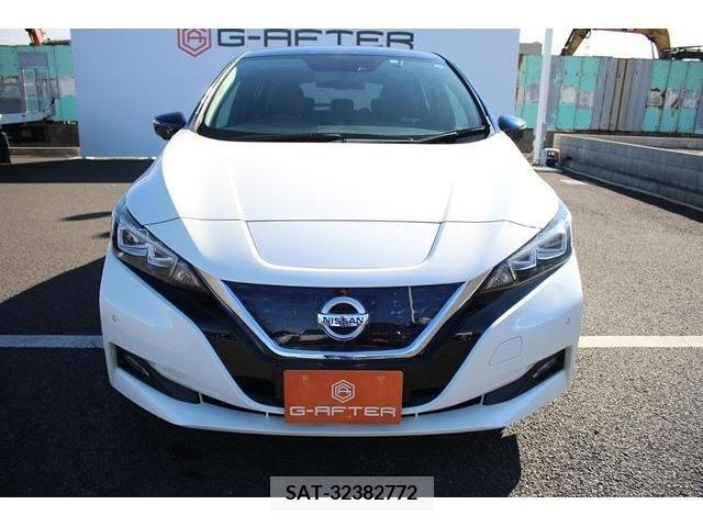 Nissan LEAF 2017-01 226351-8
