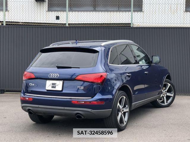 Audi Q5 2014-10 350165-6