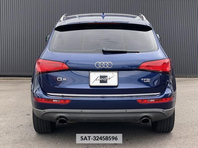 Audi Q5 2014-10 350165-4