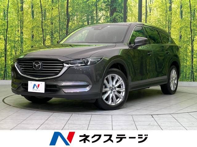 Mazda CX-8 2018-05 187003-0