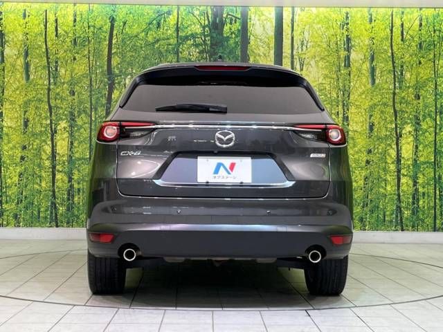 Mazda CX-8 2018-05 187003-16