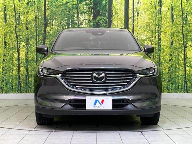 Mazda CX-8 2018-05 187003-15