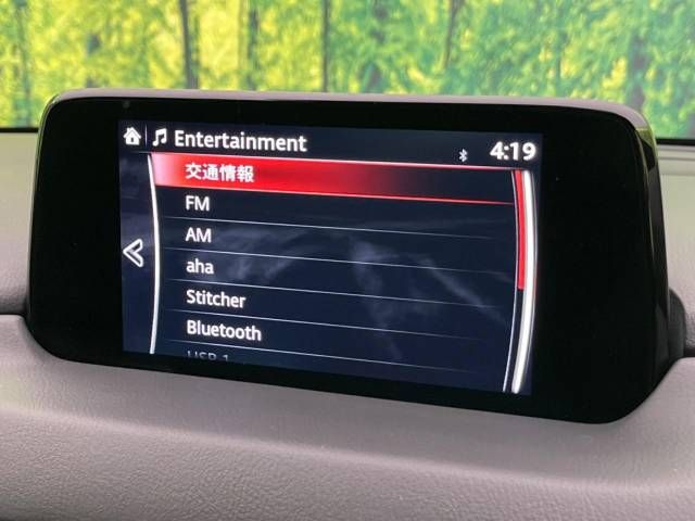 Mazda CX-8 2018-05 187003-2