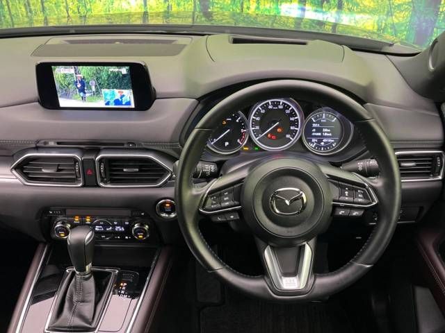 Mazda CX-8 2018-05 187003-14
