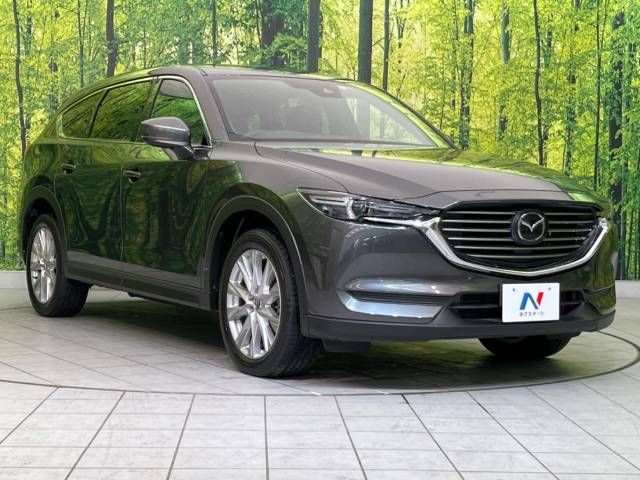 Mazda CX-8 2018-05 187003-17