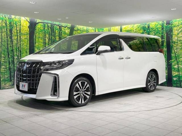 Toyota ALPHARD 2021-02 19913-16
