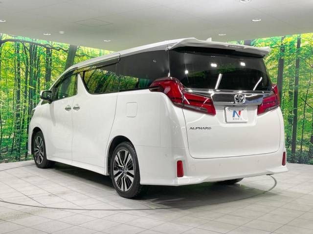 Toyota ALPHARD 2021-02 19913-18