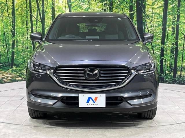 Mazda CX-8 2017-11 17865-15