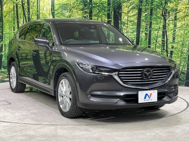 Mazda CX-8 2017-11 17865-17