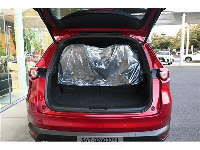 Mazda CX-8 2021-01 250864-19
