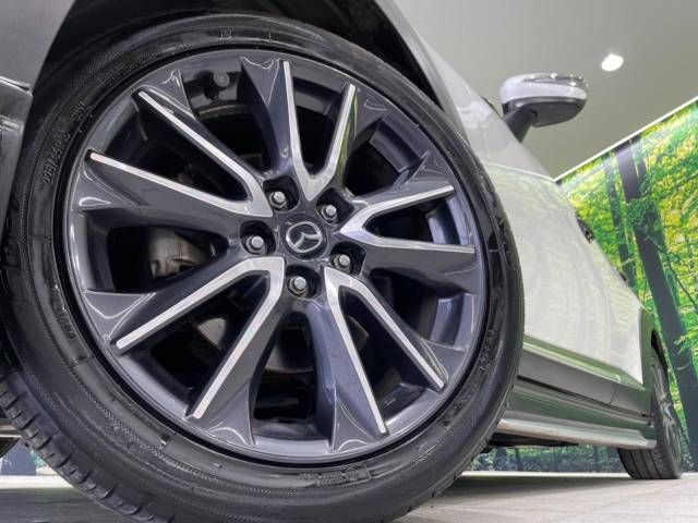 Mazda CX-3 2017-06 194614-13